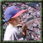 Cub of a Cub's Fan...