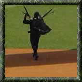 Touchdown at a baseball game...